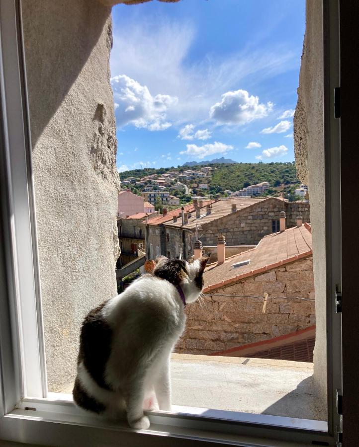 T3 Avec Vue Sur La Mer Notre Chez-Nous Apartment Propriano  Bagian luar foto